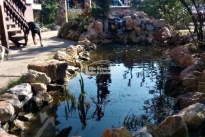 7 m3 es tókialakítás vízeséssel, szűrőrendszerrel 