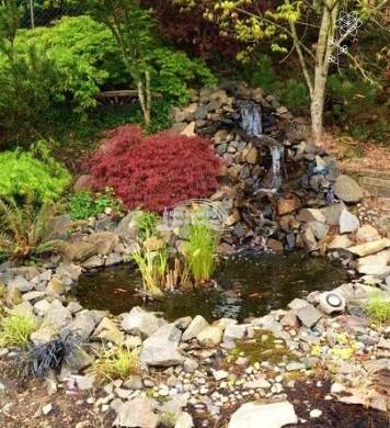 Kész kerti tó medrek képe