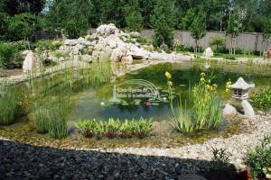 150 m2-es tókialakítás, komplett szűrőrendszerrel, 50m3-es sziklakerttel, patakkal