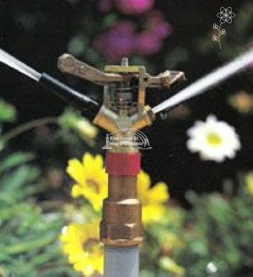 Kalapácsos szórófejek képe