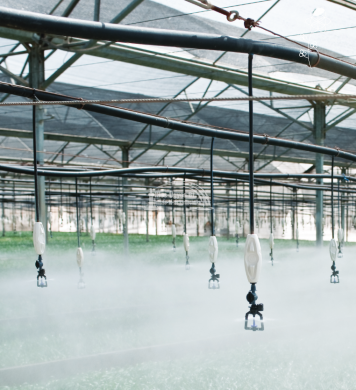 Mikroöntözés képe